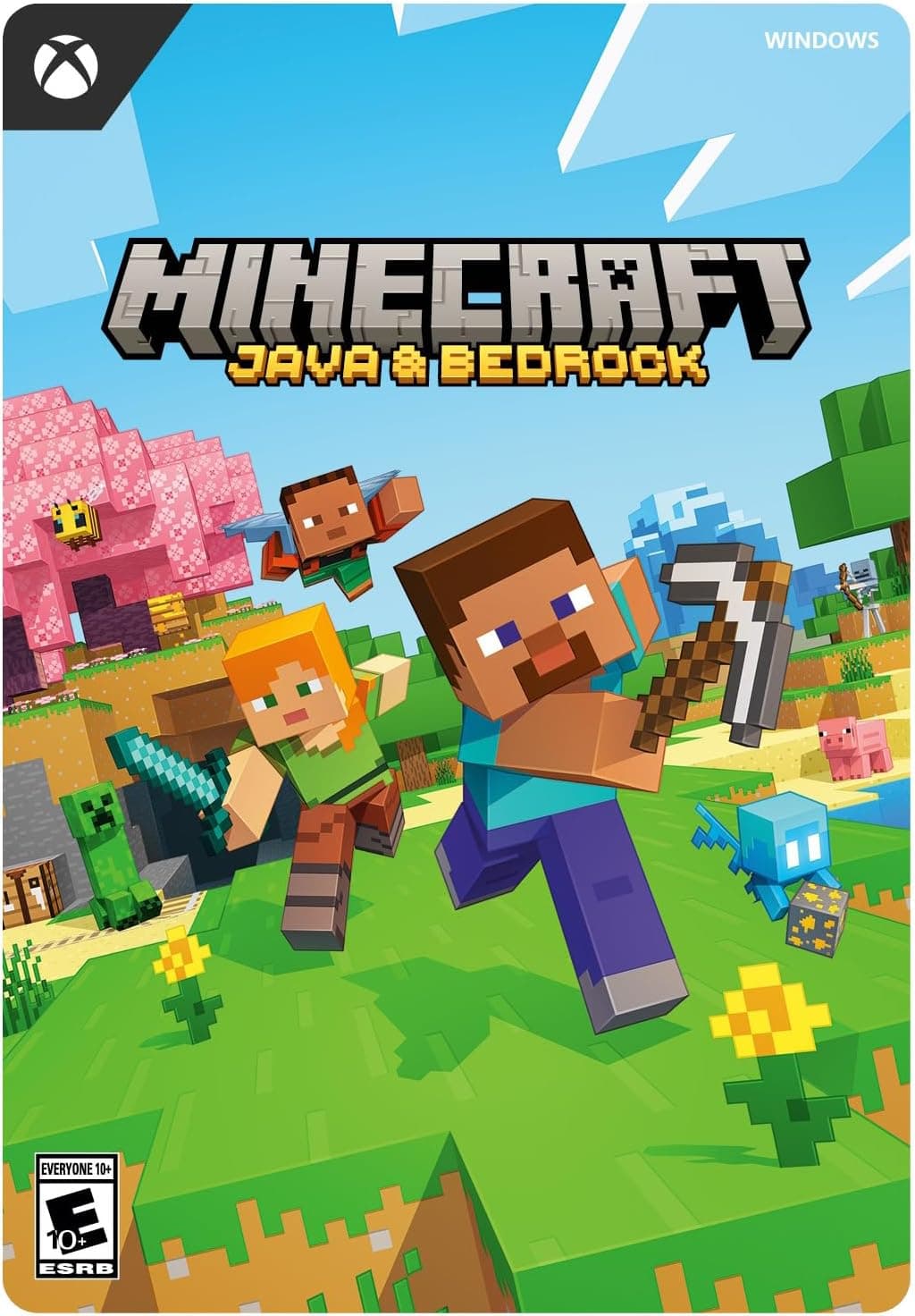 Minecraft Java & Bedrock